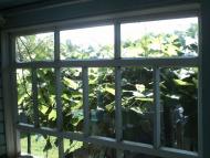 Мої спогади