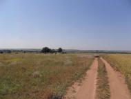 Щербинівка з panoramio.com