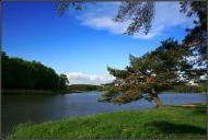 Хрипаличі з panoramio.com