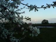 Рубанка з panoramio.com