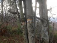 Верхнє Гусине з panoramio.com