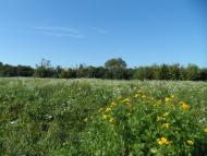 Більче з panoramio.com