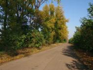 Ясинове з panoramio.com