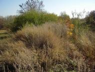 Кіровськ з panoramio.com