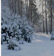 Дерно з panoramio.com