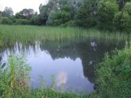 Рубанка з panoramio.com