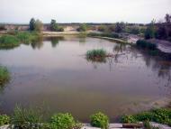 Вишневий Діл - Останні фото