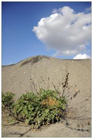 Суходільськ з panoramio.com