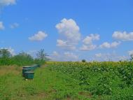 Зброшкове - Останні фото