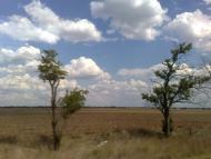 Чоботарка з panoramio.com