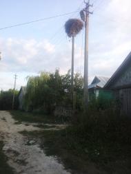 Бахтинок з panoramio.com