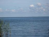 Васютинці з panoramio.com