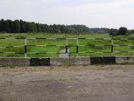 Ямне з panoramio.com