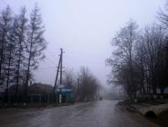 Петрашівка