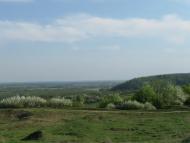 Shpylivka - Latest photos