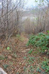 Вишній Дубовець з panoramio.com