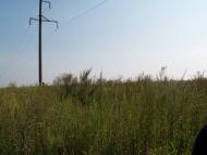 Кустівці з panoramio.com