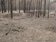 Булахівка з panoramio.com