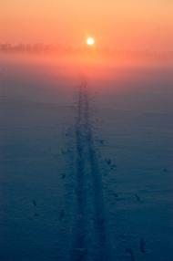 Скалівські Хутори з panoramio.com