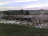 Грищинці - Останні фото