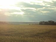 Веселий Кут з panoramio.com