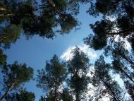 Варва з panoramio.com