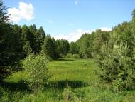 Рудка з panoramio.com