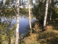 Мохнівка з panoramio.com