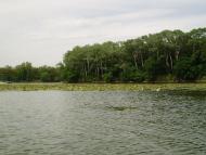 Сокільники з panoramio.com