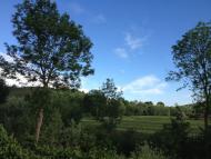 Бобровники - Последние фото