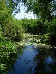 Кукулівка з panoramio.com