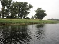 Комар з panoramio.com