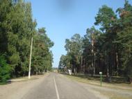 Кодра з panoramio.com