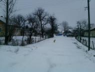 Дубляни з panoramio.com