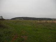 Підмихайлівці з panoramio.com