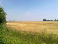 Яцьки з panoramio.com