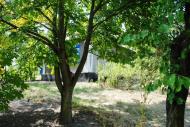 Біловодськ з panoramio.com