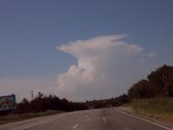 Фруктове з panoramio.com