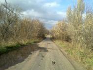 Зайцеве з panoramio.com