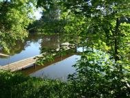 Берізка з panoramio.com