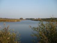 Зоряне з panoramio.com