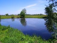 Старява з panoramio.com