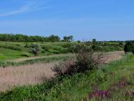 Олександрівка з panoramio.com