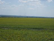 Лозуватка з panoramio.com