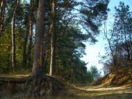 Бабинці з panoramio.com