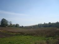 Кутківці з panoramio.com