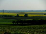 Стаївка з panoramio.com