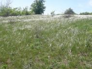 Айдар-Миколаївка з panoramio.com