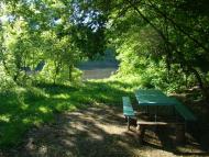 Берізка з panoramio.com