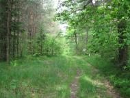 Великі Переліски з panoramio.com